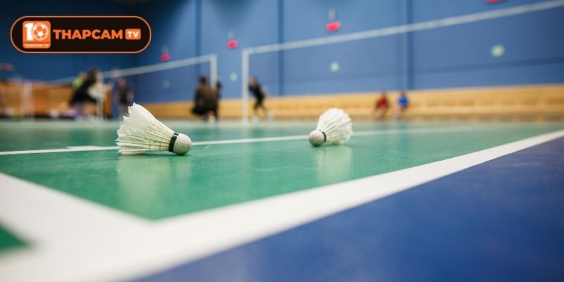 Xem Trực Tiếp Cầu Lông Miễn Phí, Hòa Nhịp Từng Trận 4 Chi tiết cách xem trực tiếp cầu lông tại Thapcam